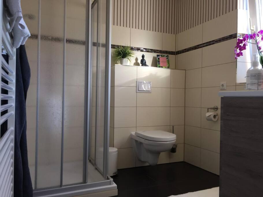 Ferienwohnung Madlein Rehna エクステリア 写真